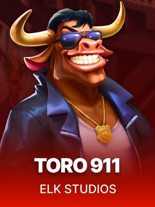 Toro 911 game cover